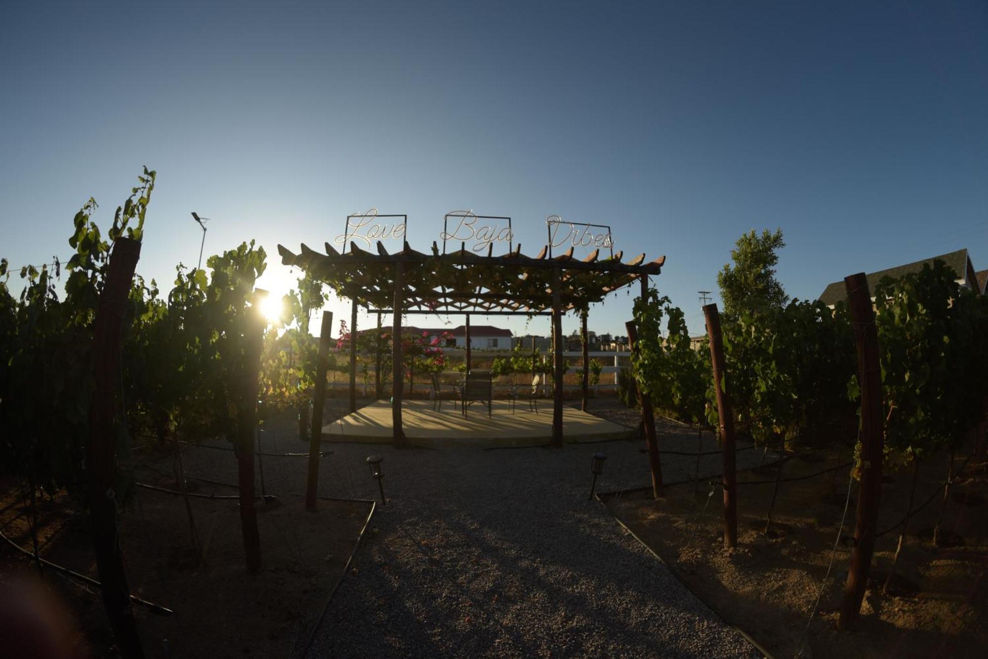 3333 Luz Del Valle Hotel Boutique Valle de Guadalupe Eksteriør bilde