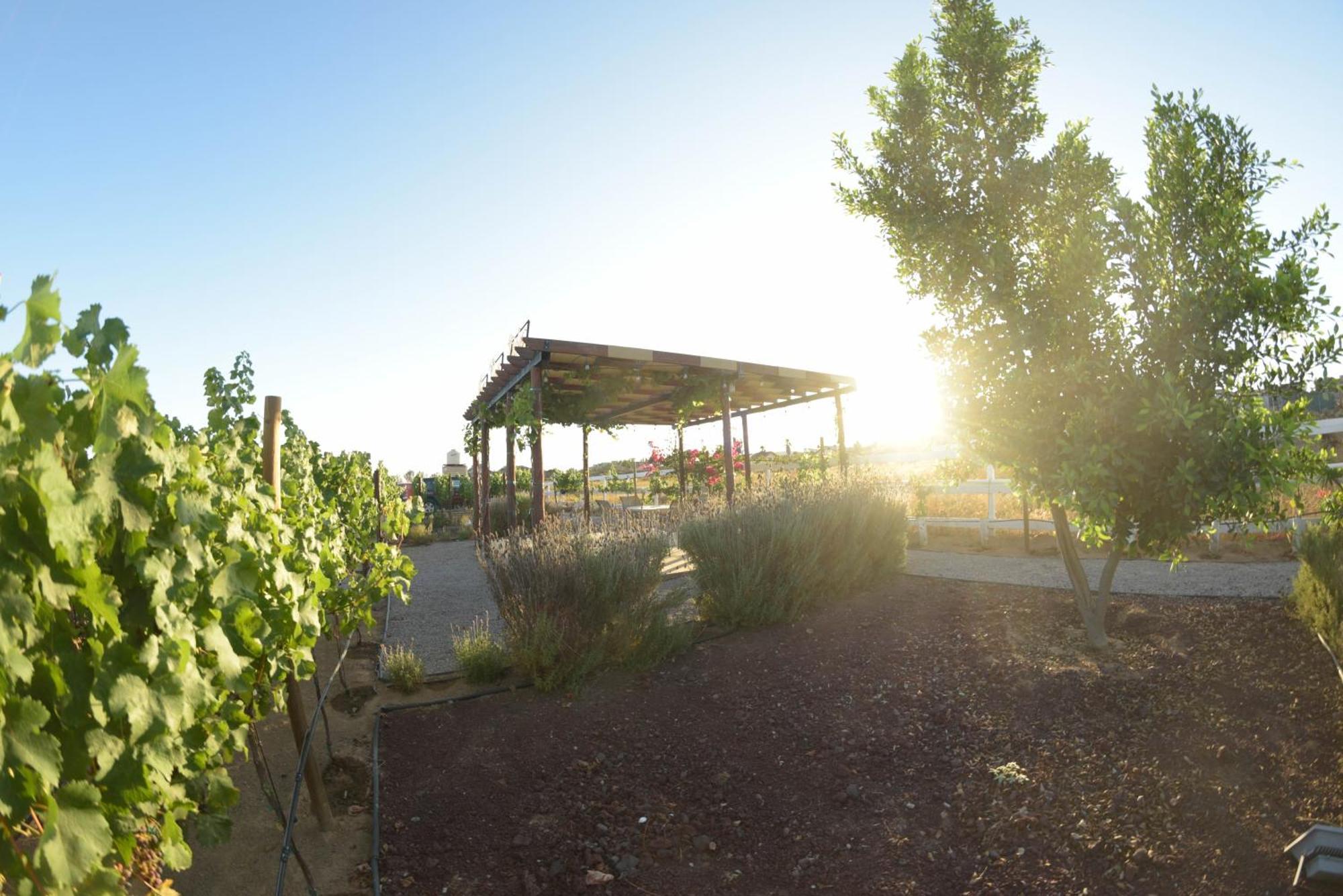 3333 Luz Del Valle Hotel Boutique Valle de Guadalupe Eksteriør bilde